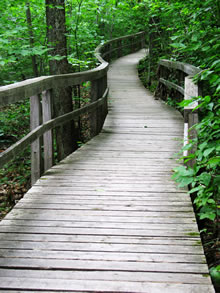path